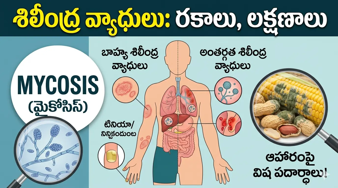 Types of Mycosis and Fungal infections on human skin and internal organs